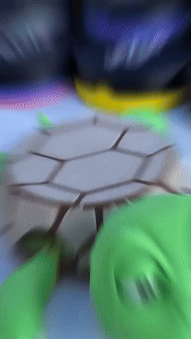 Turtle Slip